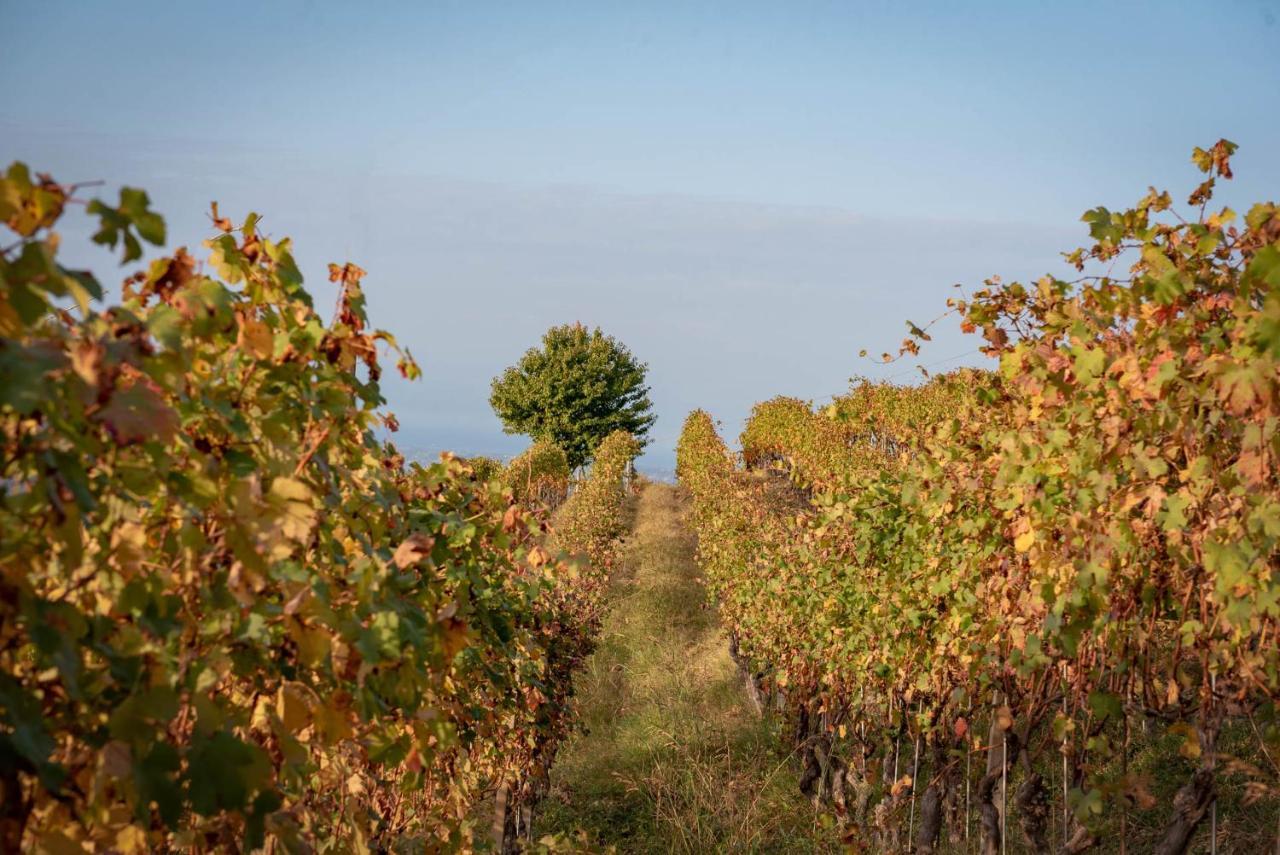 Agriturismo San Martino Clavesana Экстерьер фото