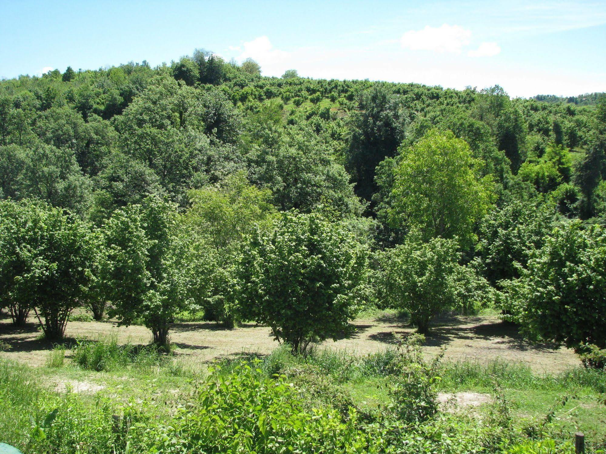 Agriturismo San Martino Clavesana Экстерьер фото